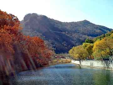 澳门天天免费精准大全，凉山物流